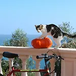 Chiara * Imperia