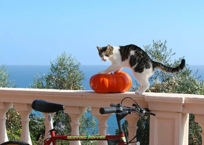 Chiara * 因佩里亚